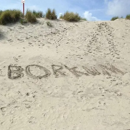 Ariana, Orchid * Borkum